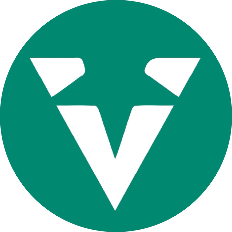 Logo Vegastar